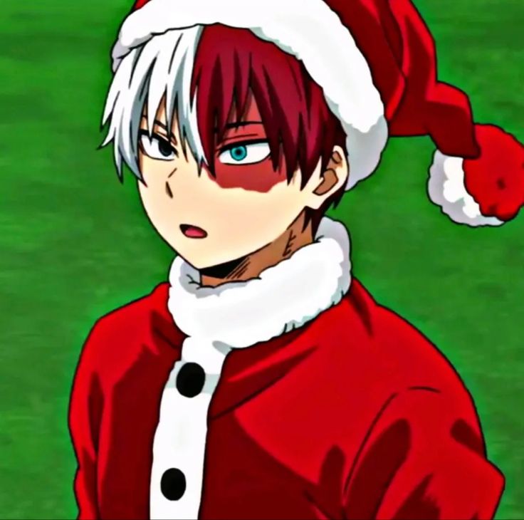 shoto todoroki christmas