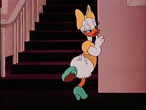 daisy in cured ducks